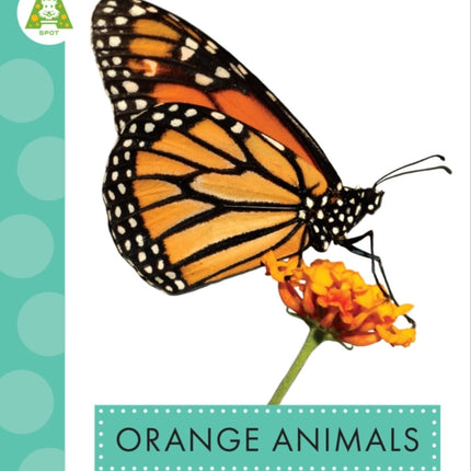 Orange Animals