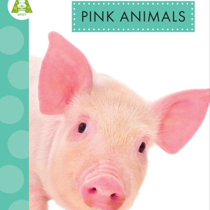 Pink Animals