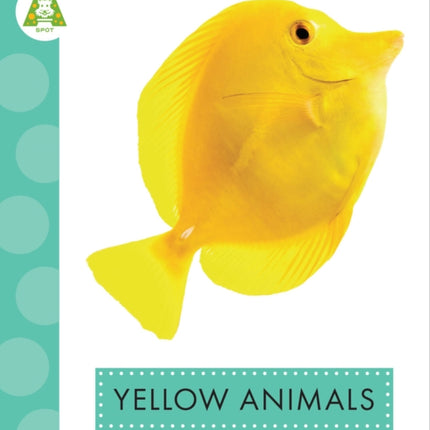 Yellow Animals
