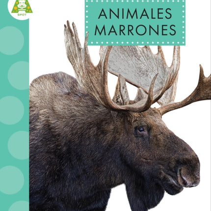 Animales Marrones