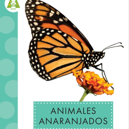 Animales Anaranjados