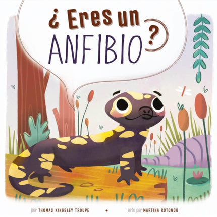 Eres Un Anfibio
