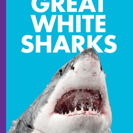 Curious about Great White Sharks