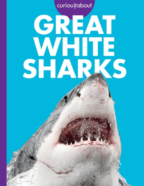 Curious about Great White Sharks