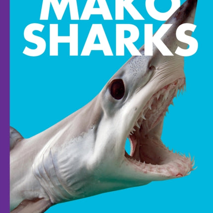 Curious about Mako Sharks