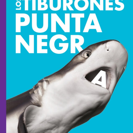 Curiosidad Por Los Tiburones Punta Negra