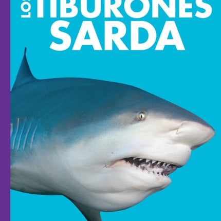 Curiosidad Por Los Tiburones Sarda