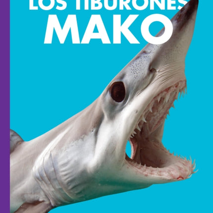 Curiosidad Por Los Tiburones Mako