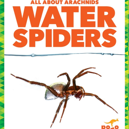 Water Spiders