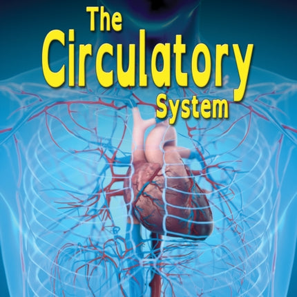 The Circulatory System