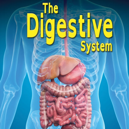 The Digestive System