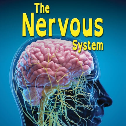 The Nervous System