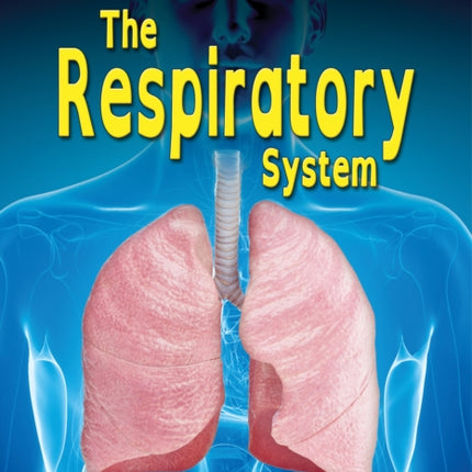 The Respiratory System