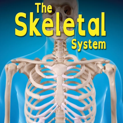 The Skeletal System