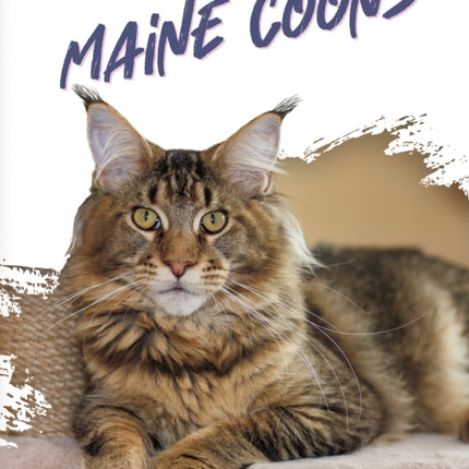 Maine Coons