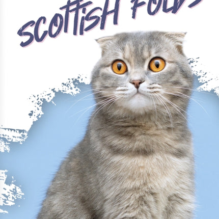 Scottish Folds