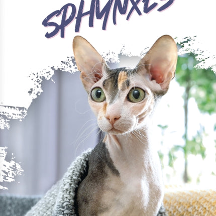 Sphynxes