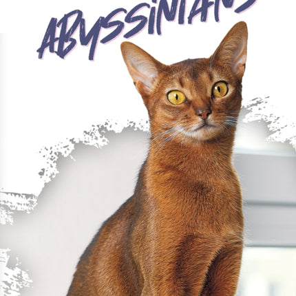 Abyssinians