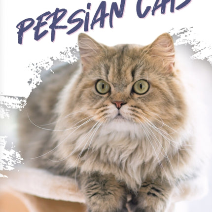 Persian Cats