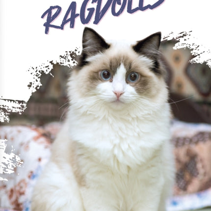 Ragdolls