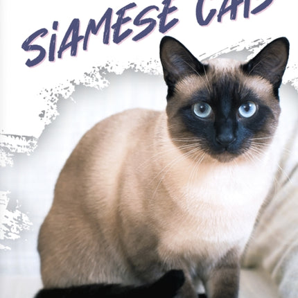 Siamese Cats