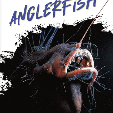 Anglerfish