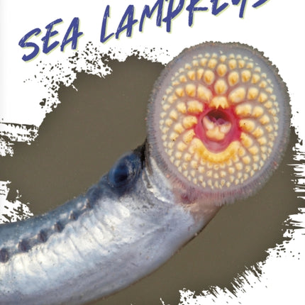 Sea Lampreys