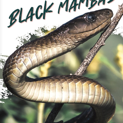 Black Mambas