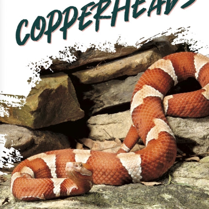 Copperheads