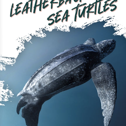 Leatherback Sea Turtles