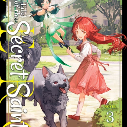 A Tale of the Secret Saint ZERO Light Novel Vol. 3