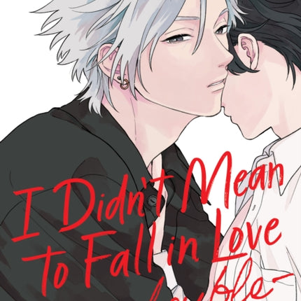 I Didnt Mean to Fall in Love double