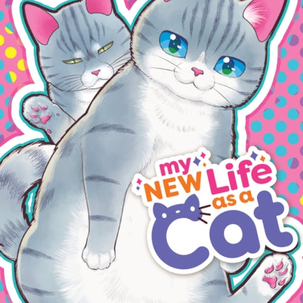 My New Life as a Cat Vol. 13