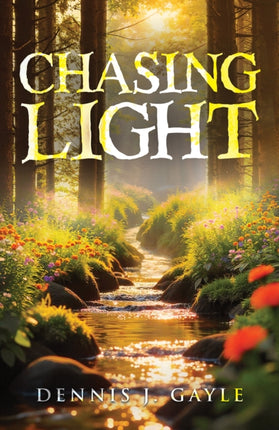 Chasing Light