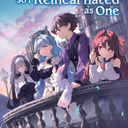 I Like Villains So I Reincarnated as One Light Novel Vol. 1
