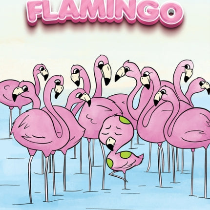 Molly the Unusual Flamingo