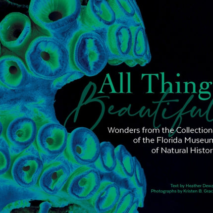 All Things Beautiful: Wonders from the Collections of the Florida Museum of Natural History