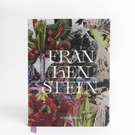 Frankenstein Art Novel