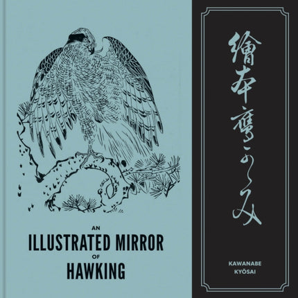 An Illustrated Mirror of Hawking